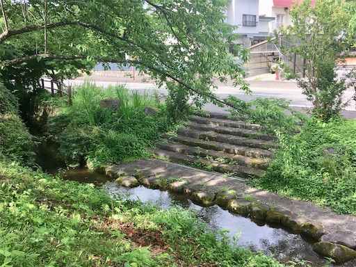 f:id:hukunekox:20190715013216j:image f:id:hukunekox:20190715013216j:image