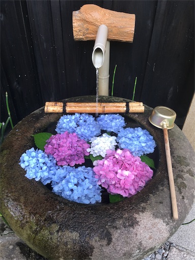 f:id:hukunekox:20190715114459j:image f:id:hukunekox:20190715114459j:image