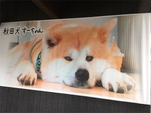 f:id:hukunekox:20190715144119j:image f:id:hukunekox:20190715144119j:image