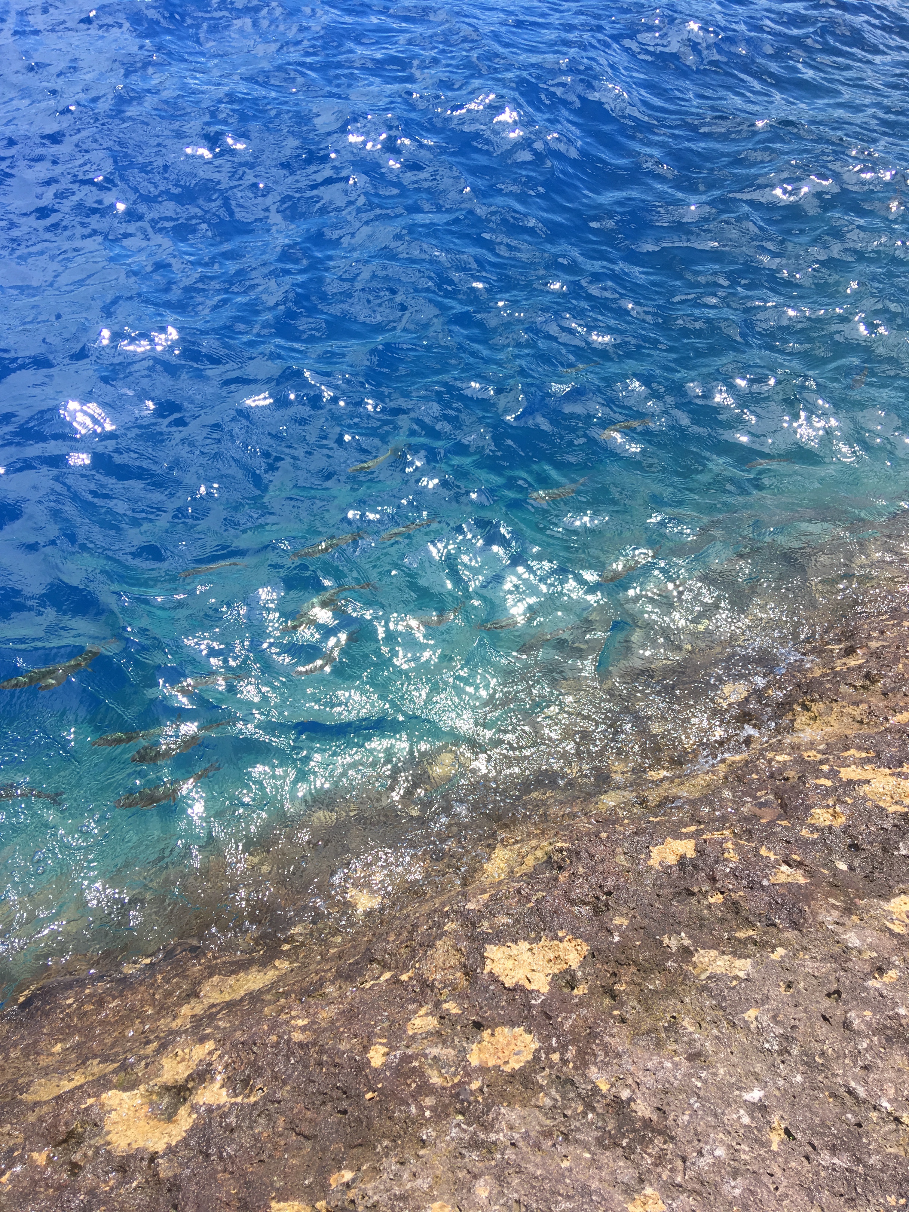 f:id:hukunekox:20190716092948j:image