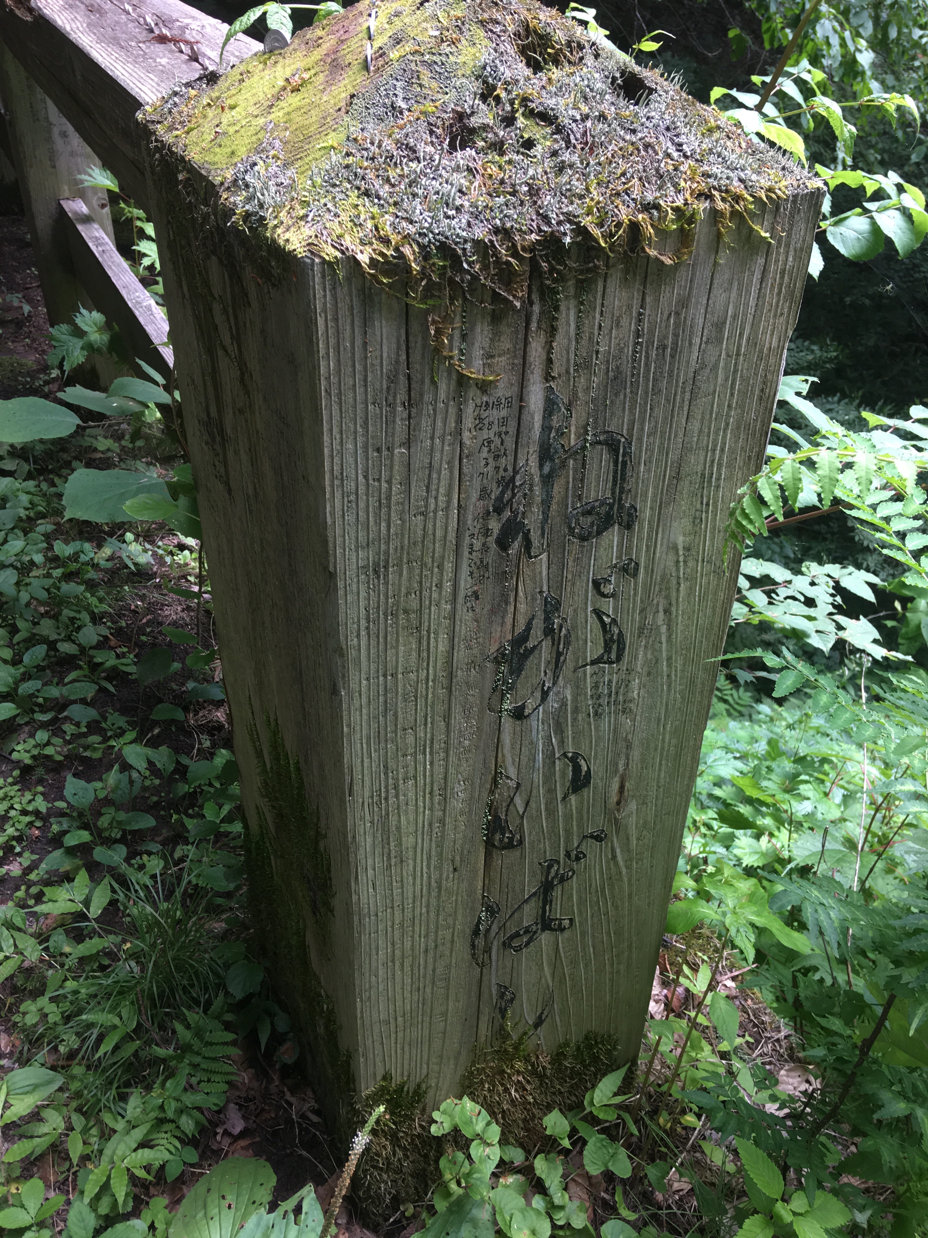 f:id:hukunekox:20190716094303j:image