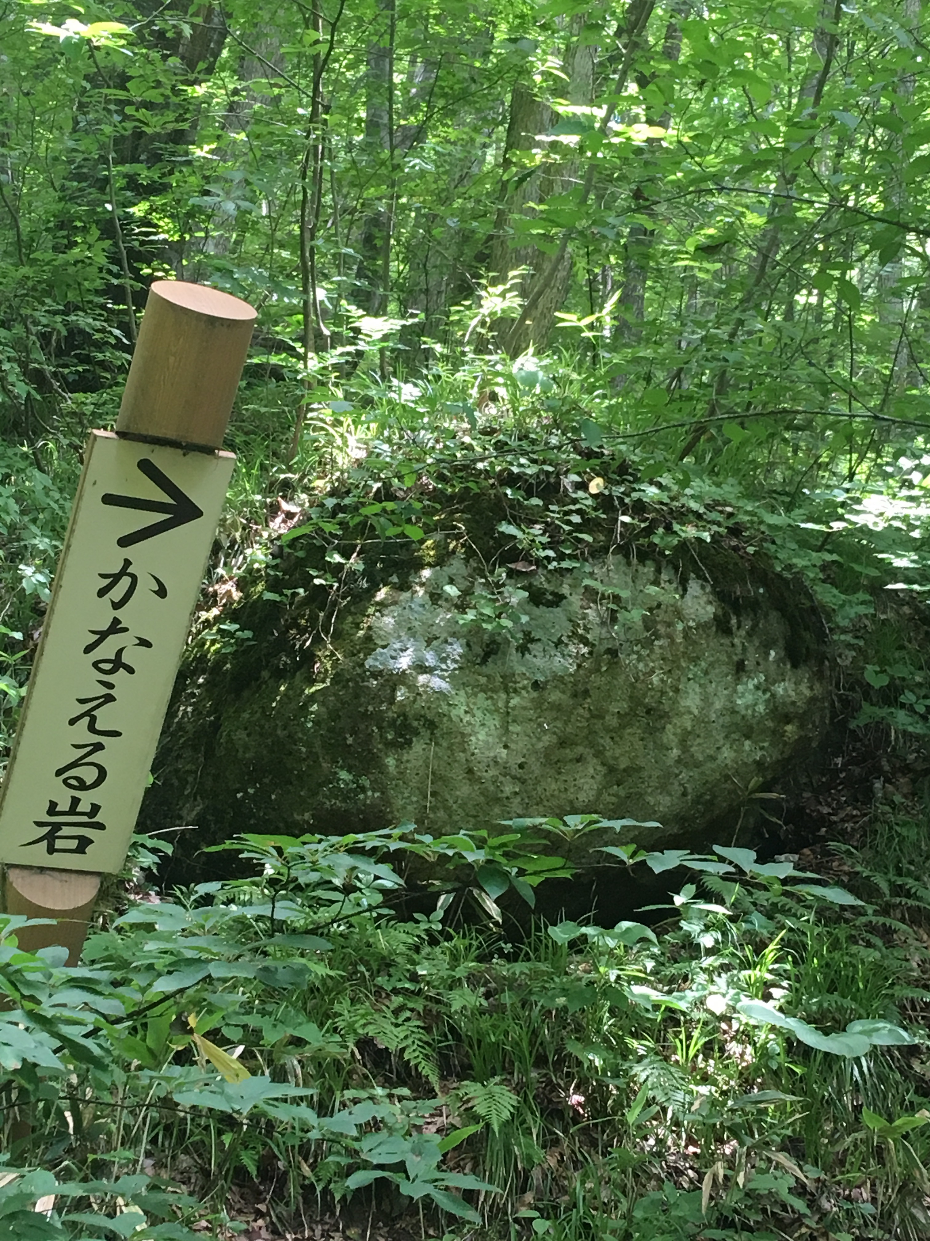 f:id:hukunekox:20190716094315j:image