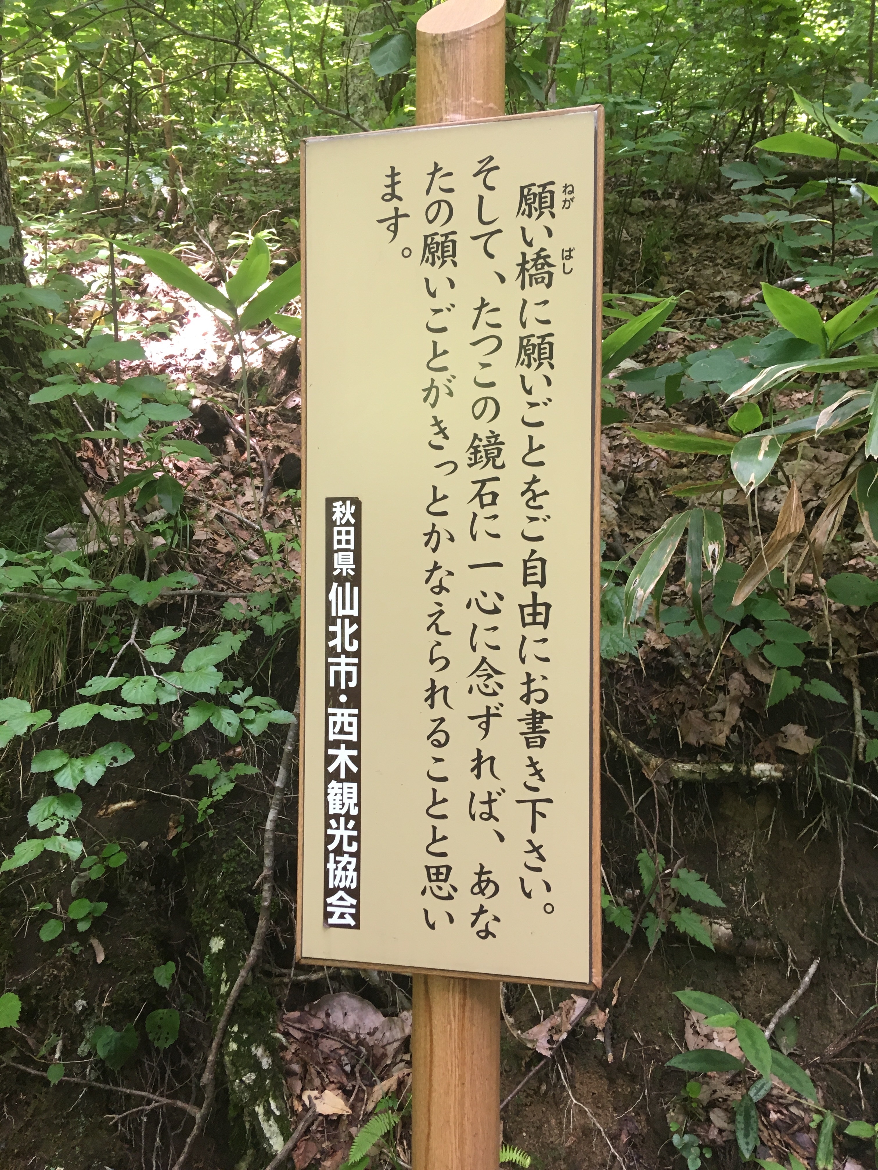 f:id:hukunekox:20190716094351j:image