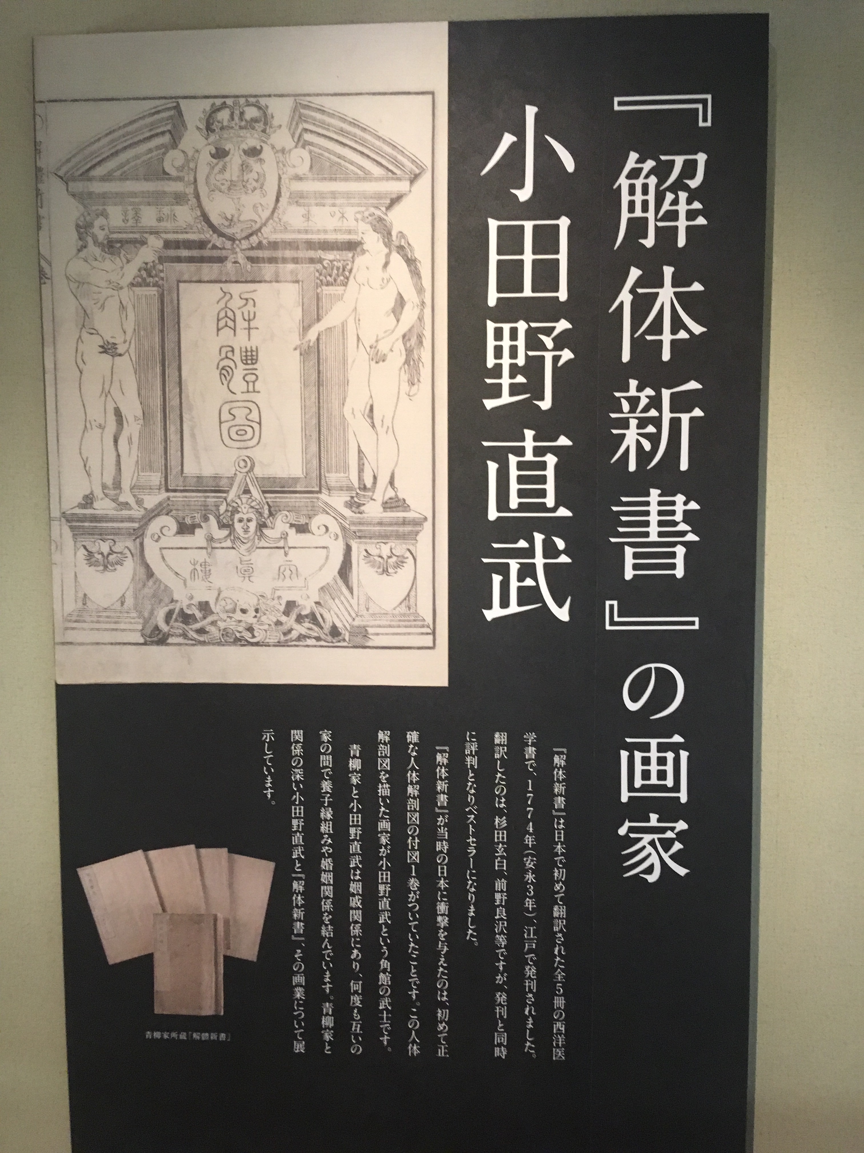 f:id:hukunekox:20190716172039j:image