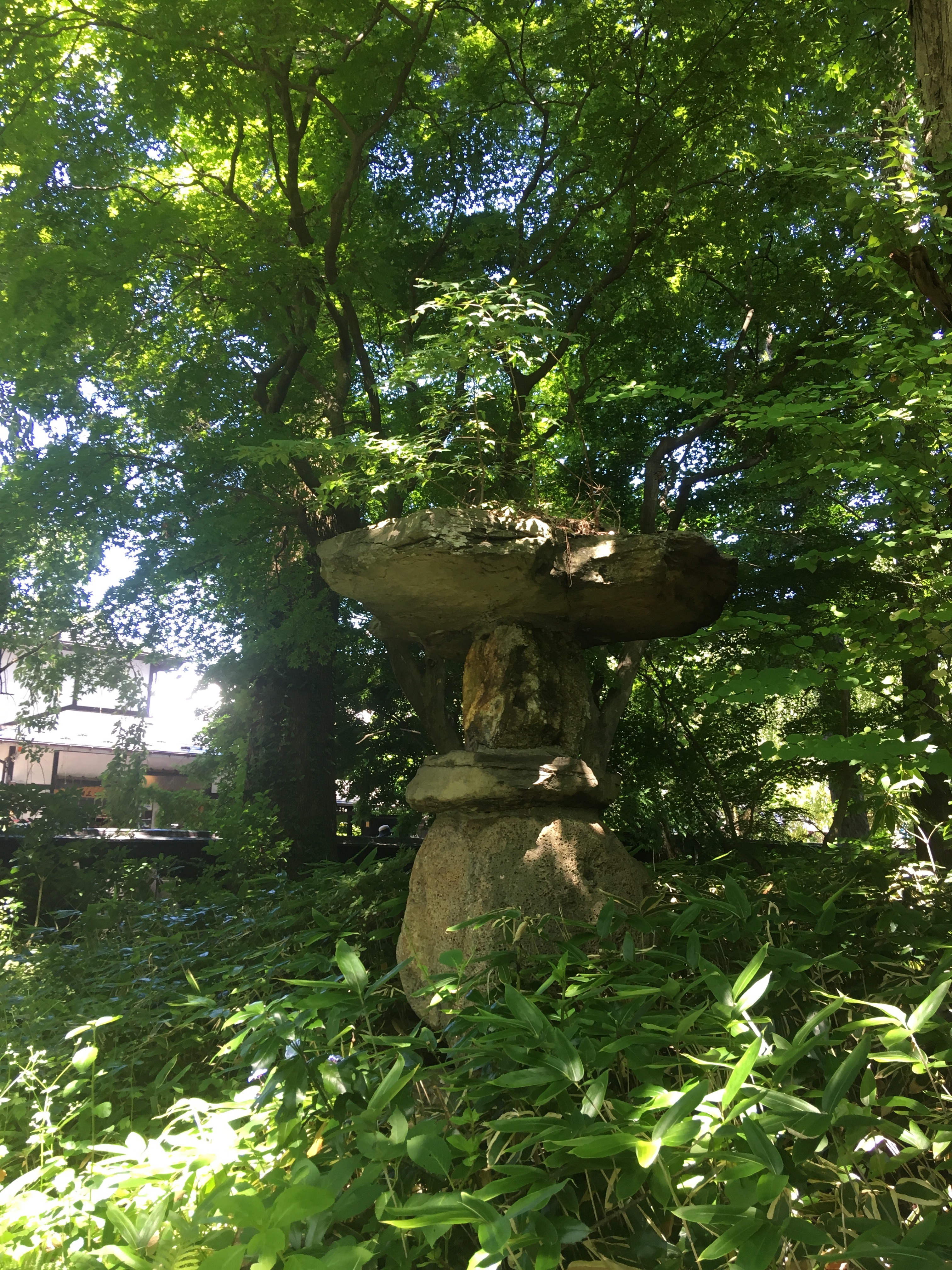 f:id:hukunekox:20190716172250j:image