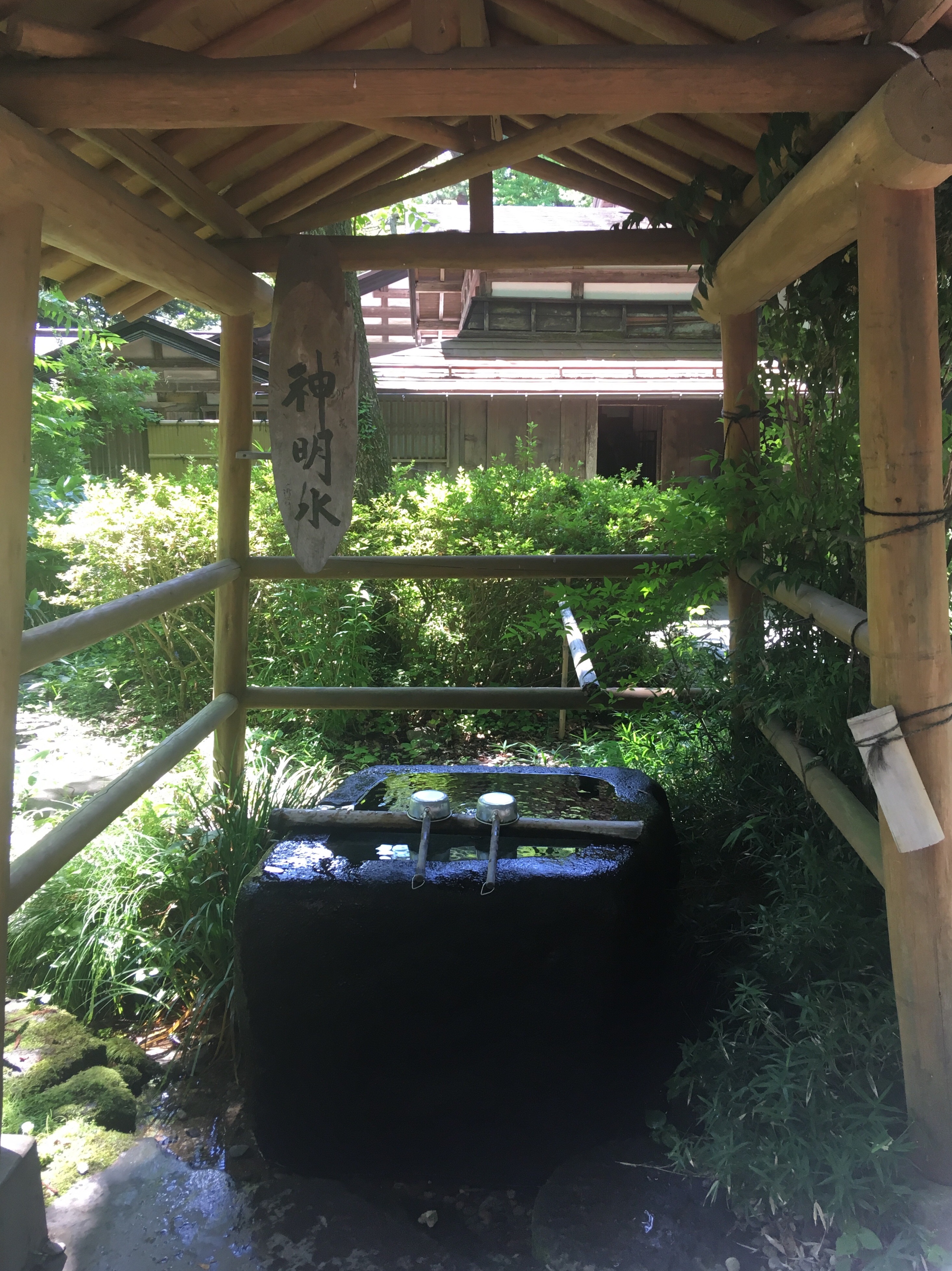 f:id:hukunekox:20190716173548j:image