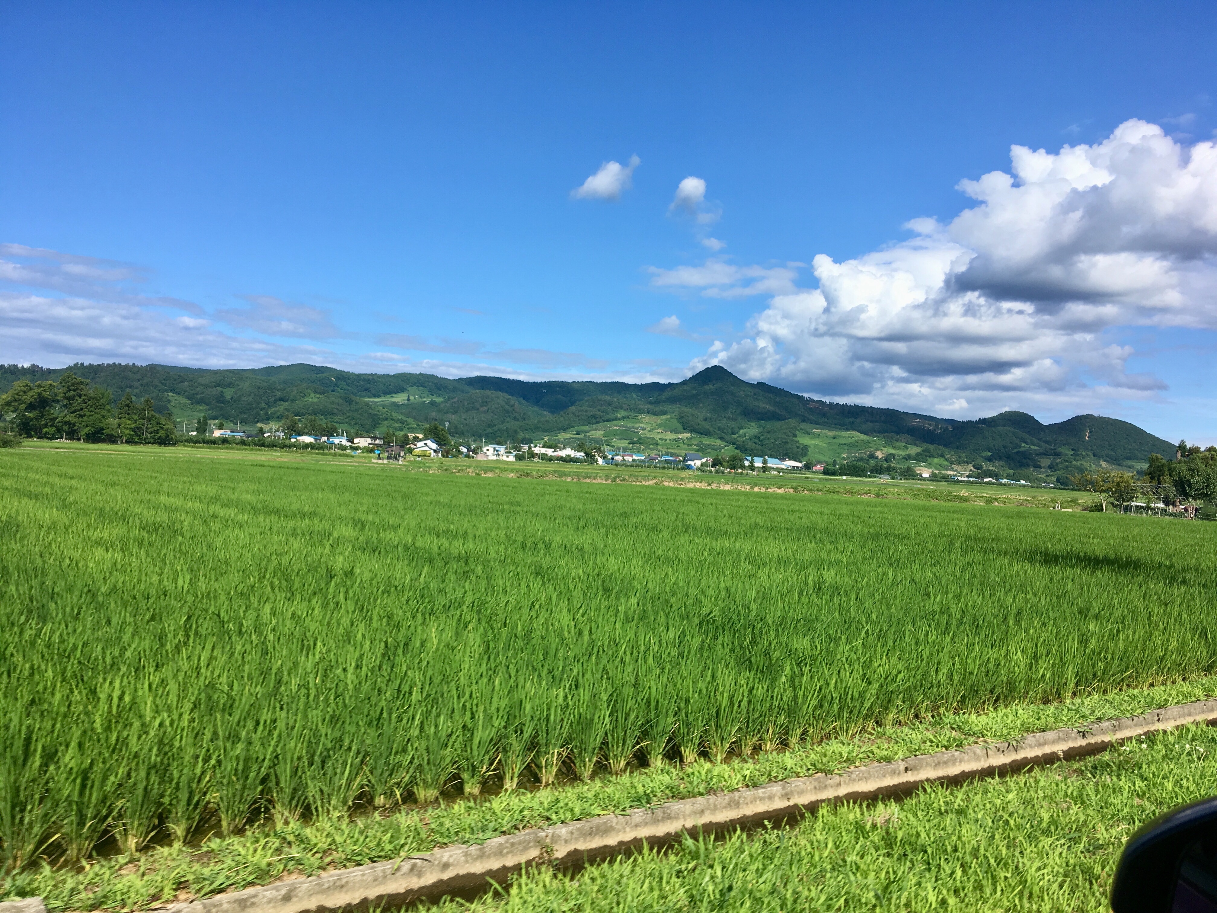 f:id:hukunekox:20190716181834j:image