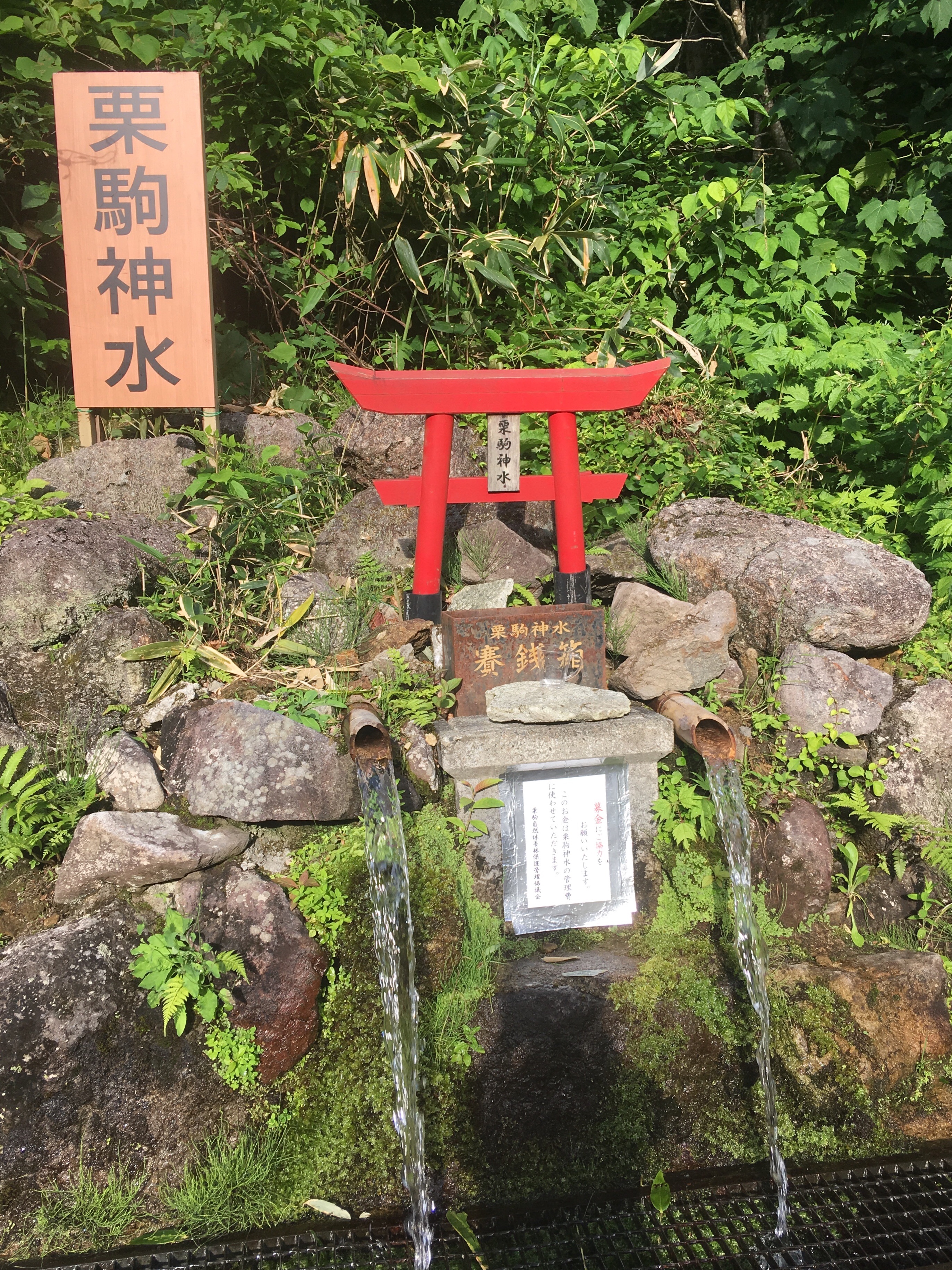 f:id:hukunekox:20190717012341j:image