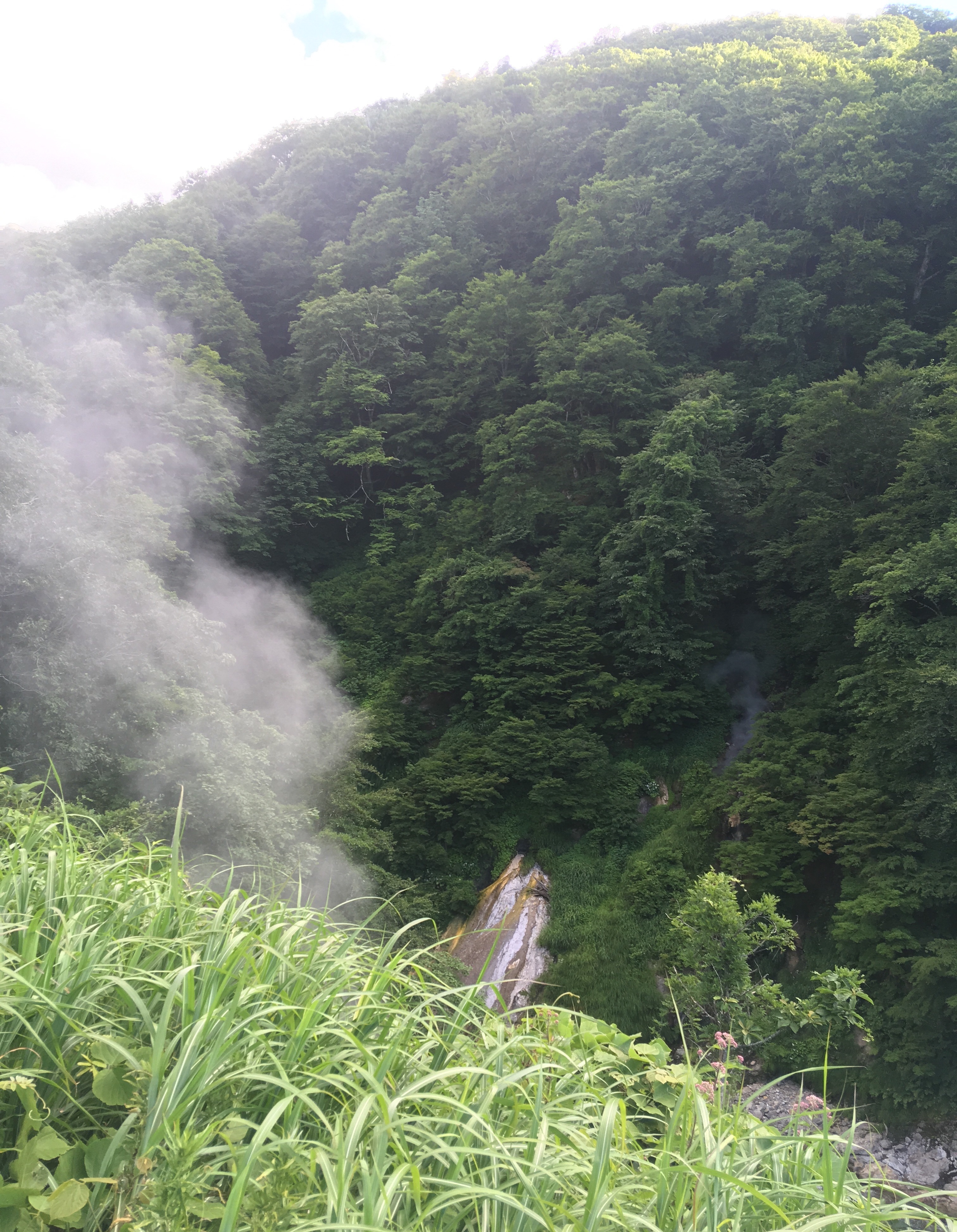 f:id:hukunekox:20190717012351j:image