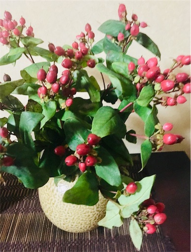 f:id:hukunekox:20190723144756j:image