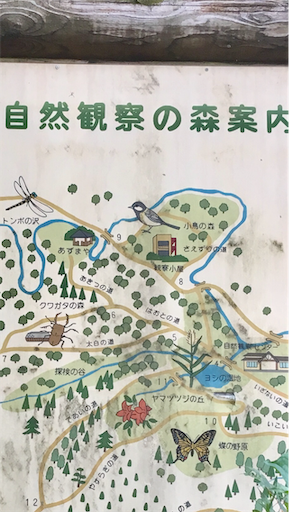 f:id:hukunekox:20190805120932p:image