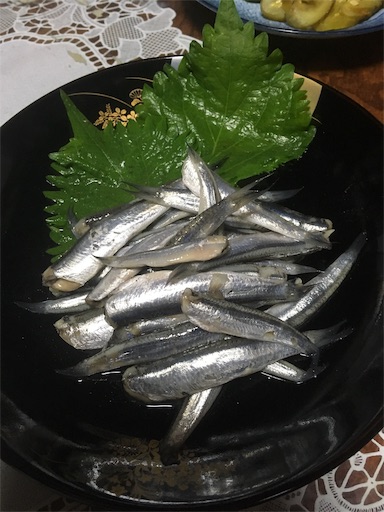 f:id:hukunekox:20190812012825j:image