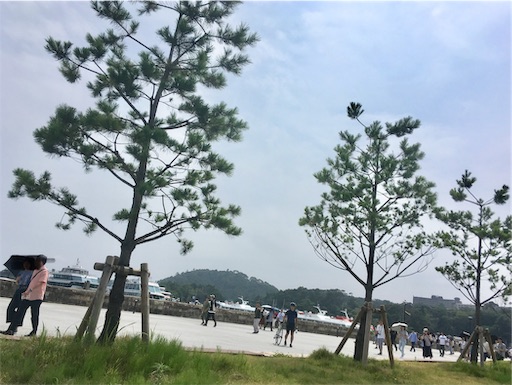 f:id:hukunekox:20190812180931j:image