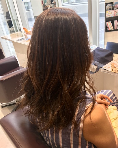 f:id:hukunekox:20190813154212j:image f:id:hukunekox:20190813154212j:image