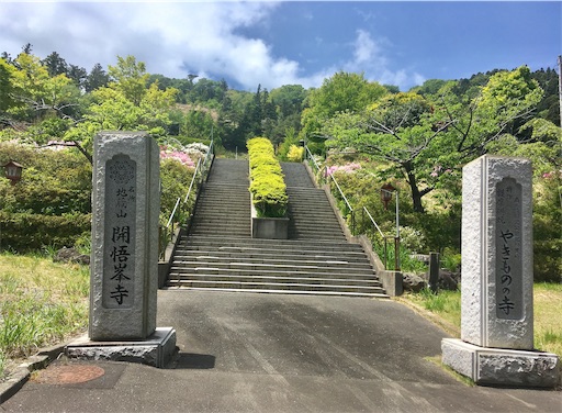 f:id:hukunekox:20190819150053j:image