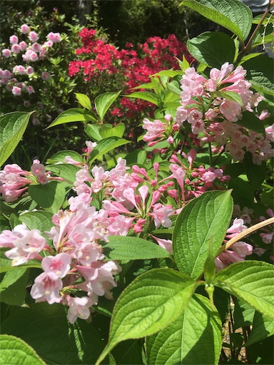 f:id:hukunekox:20190819152607j:image