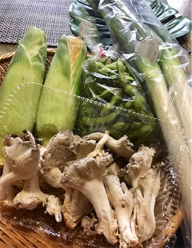 f:id:hukunekox:20190830120546j:image f:id:hukunekox:20190830120546j:image