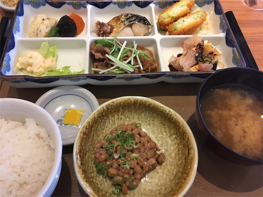 f:id:hukunekox:20190831174517j:image f:id:hukunekox:20190831174517j:image