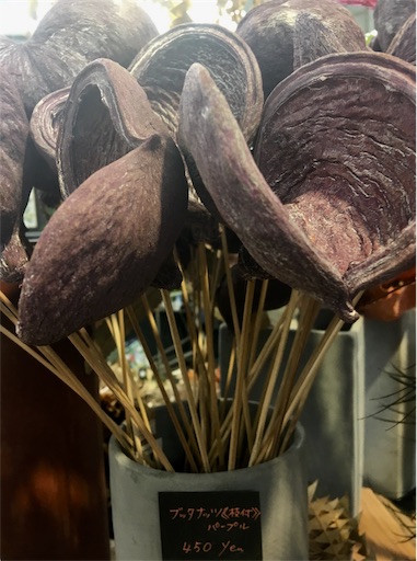f:id:hukunekox:20190906011521j:image