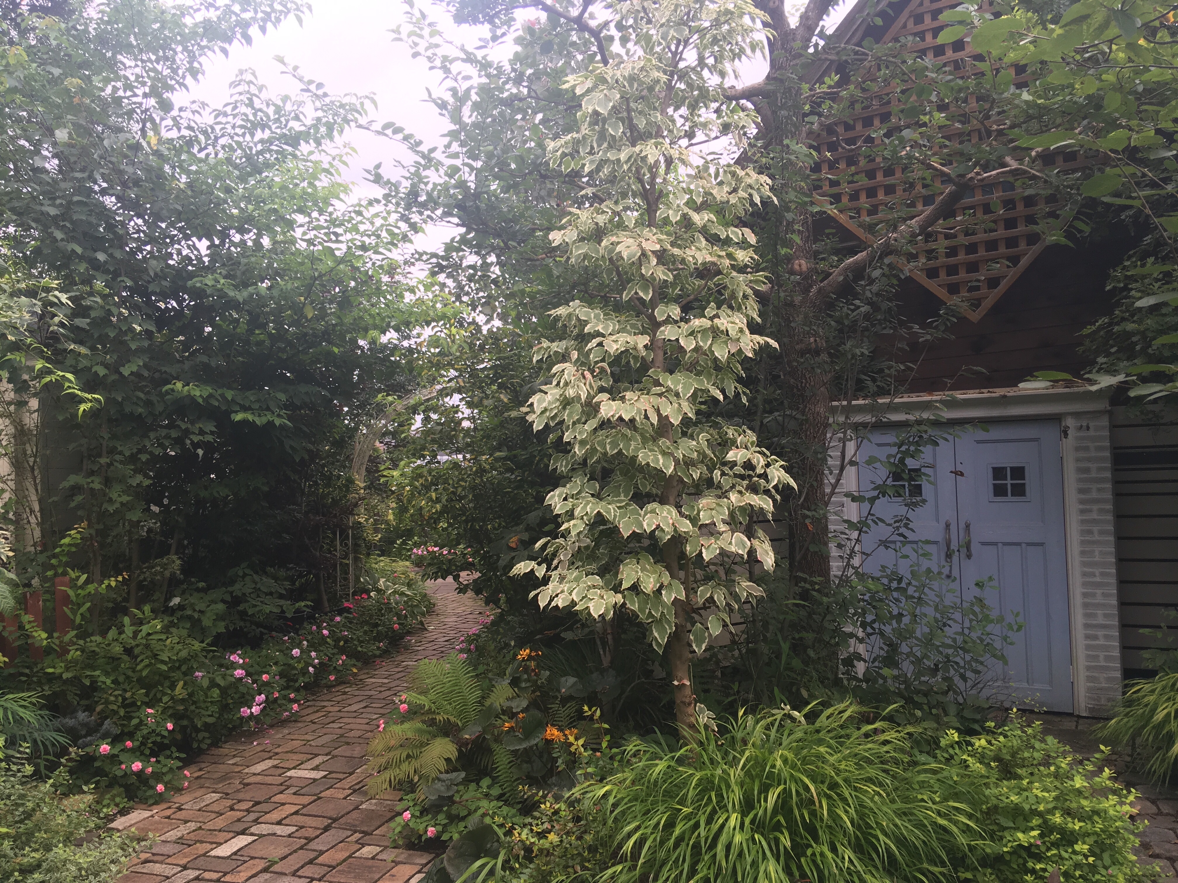 f:id:hukunekox:20190906093629j:image