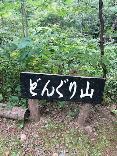 f:id:hukunekox:20190928175714j:image