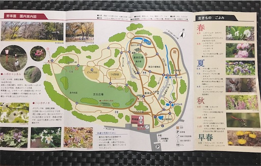 f:id:hukunekox:20190928180157j:image