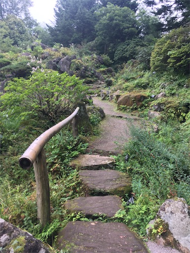 f:id:hukunekox:20190928181253j:image