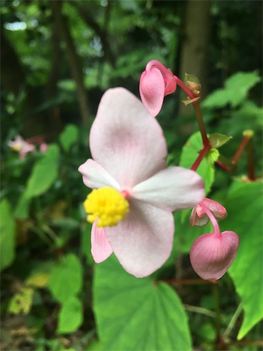 f:id:hukunekox:20190928181520j:image