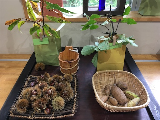 f:id:hukunekox:20190929031652j:image f:id:hukunekox:20190929031652j:image