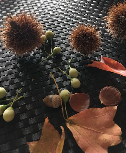f:id:hukunekox:20190929182602j:image f:id:hukunekox:20190929182602j:image