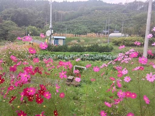 f:id:hukunekox:20191004131503j:image