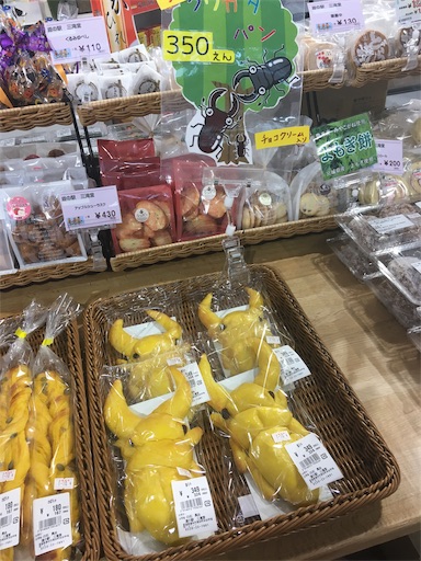 f:id:hukunekox:20191004133724j:image