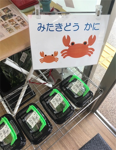 f:id:hukunekox:20191004134032j:image
