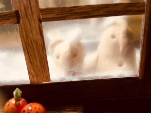 f:id:hukunekox:20191114041302j:image