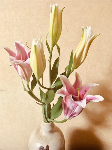 f:id:hukunekox:20191116013249j:image