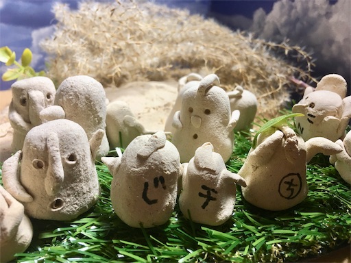 f:id:hukunekox:20191122141516j:image f:id:hukunekox:20191122141516j:image