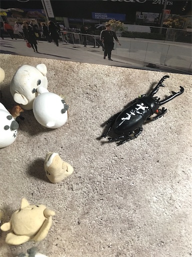 f:id:hukunekox:20191206194714j:image f:id:hukunekox:20191206194714j:image