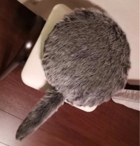 f:id:hukunekox:20191216211916j:image