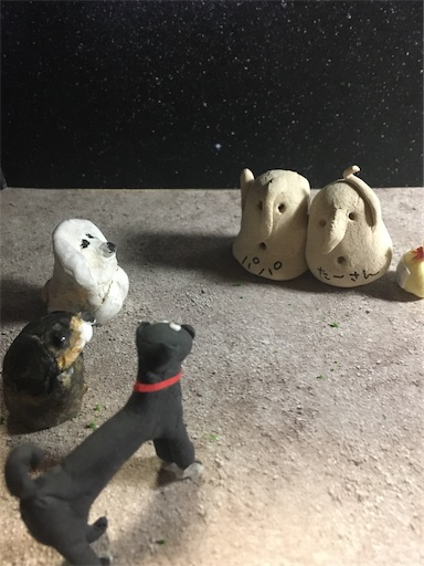 f:id:hukunekox:20191217235331j:image f:id:hukunekox:20191217235331j:image