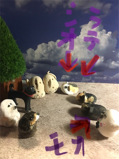 f:id:hukunekox:20191220014632j:image