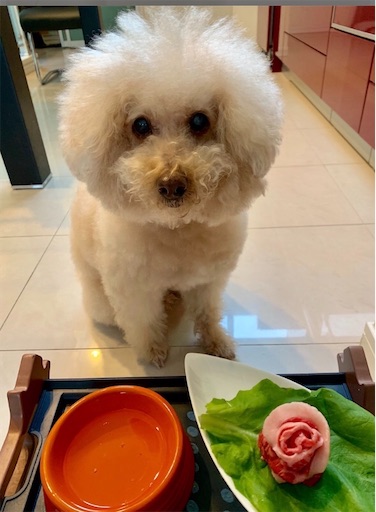 f:id:hukunekox:20191220225747j:image
