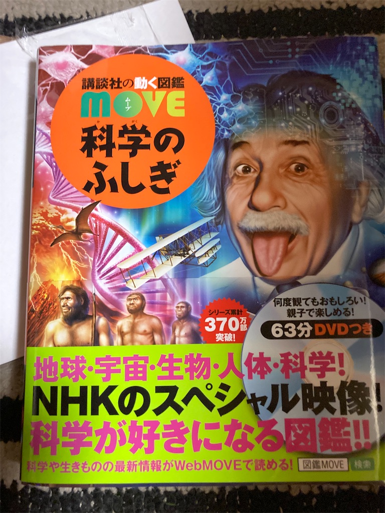 f:id:hukunekox:20200625050130j:image