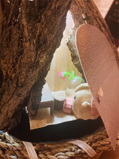 f:id:hukunekox:20200831170021j:image f:id:hukunekox:20200831170021j:image