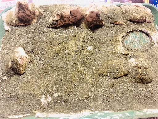 f:id:hukunekox:20200831210311j:image f:id:hukunekox:20200831210311j:image