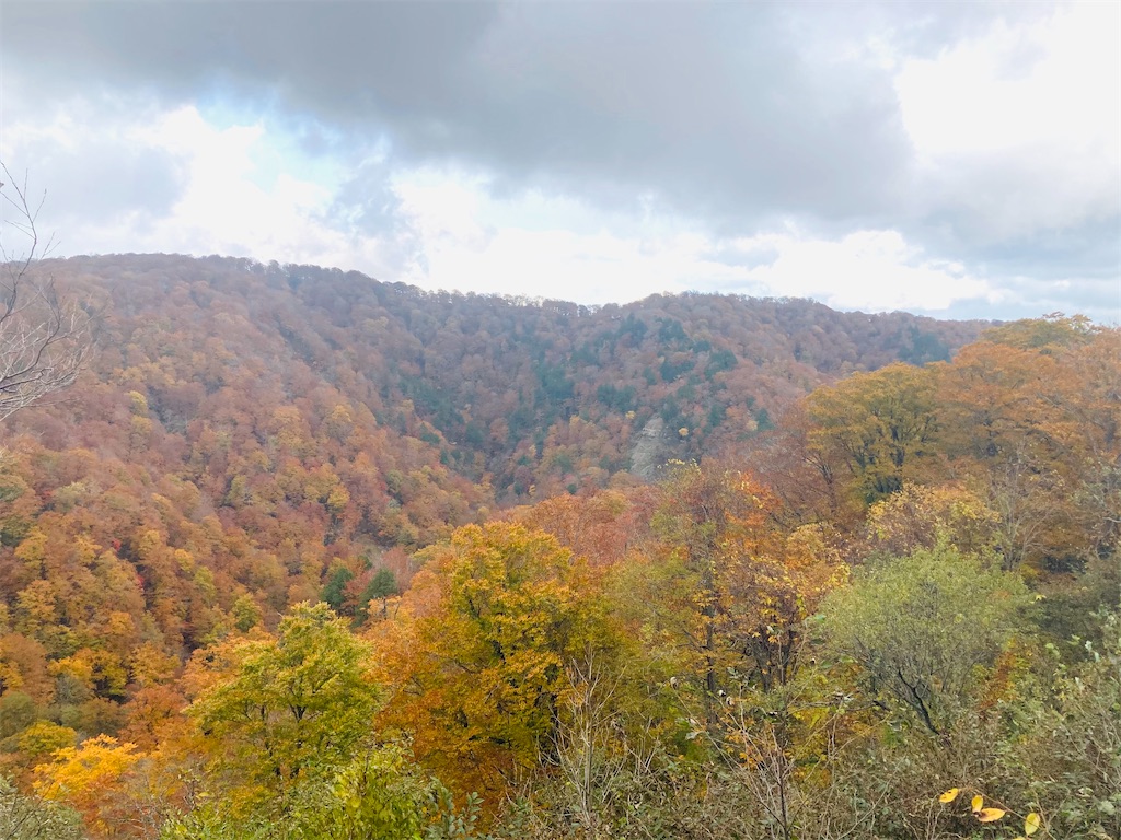 f:id:hukunekox:20201103132813j:image f:id:hukunekox:20201103132813j:image