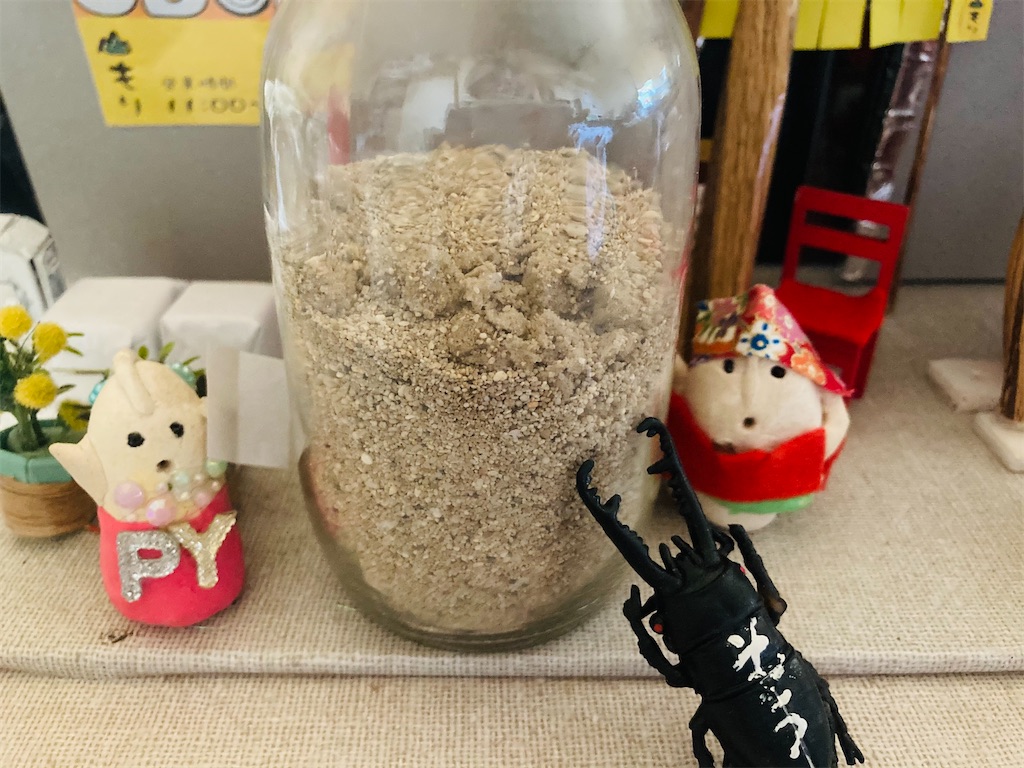 f:id:hukunekox:20210407110834j:image f:id:hukunekox:20210407110834j:image