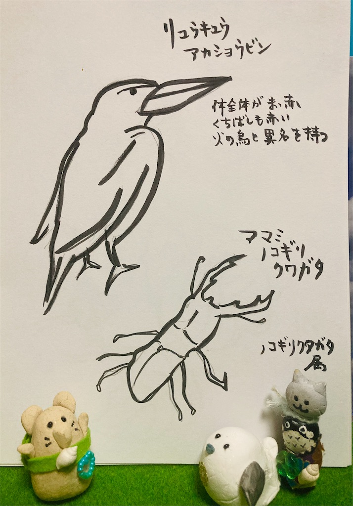 f:id:hukunekox:20210413204921j:image f:id:hukunekox:20210413204921j:image