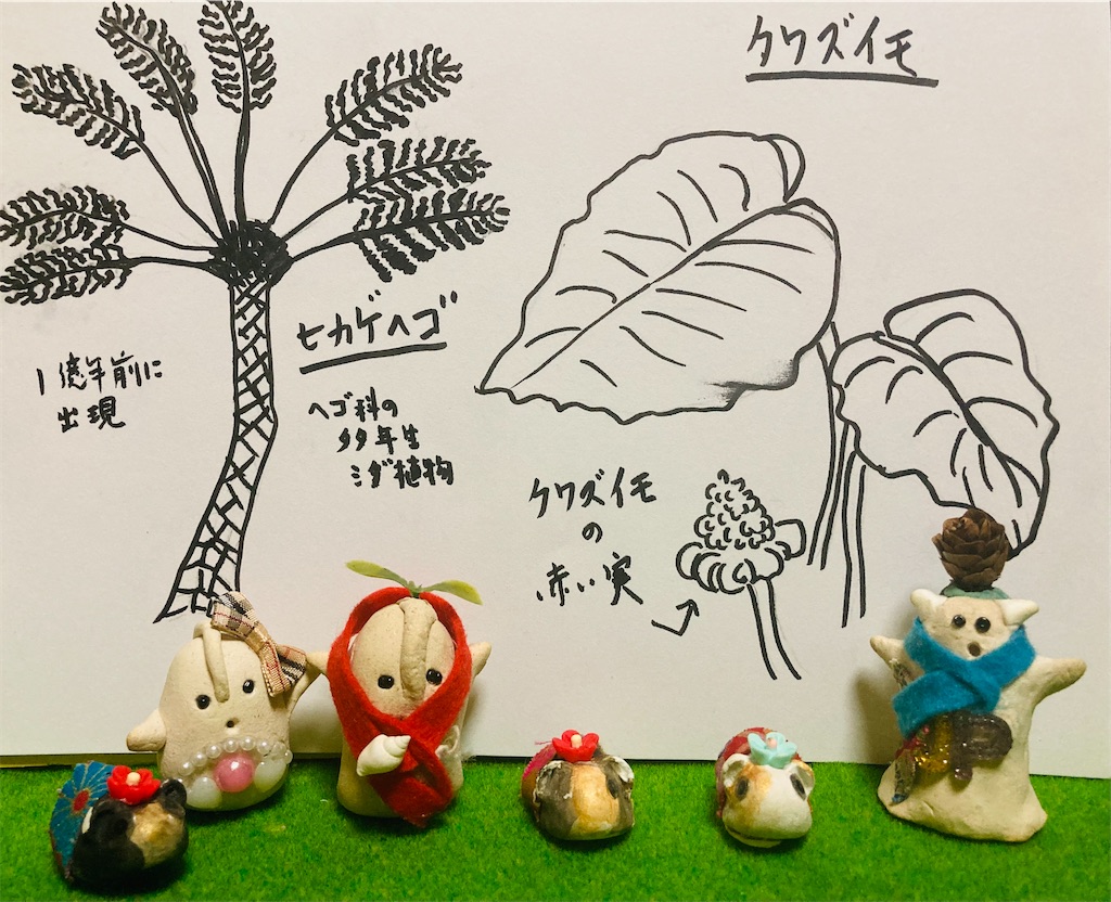 f:id:hukunekox:20210413205002j:image f:id:hukunekox:20210413205002j:image