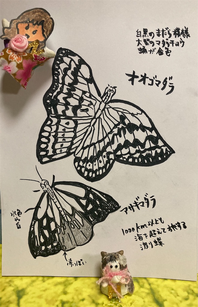 f:id:hukunekox:20210417202811j:image f:id:hukunekox:20210417202811j:image