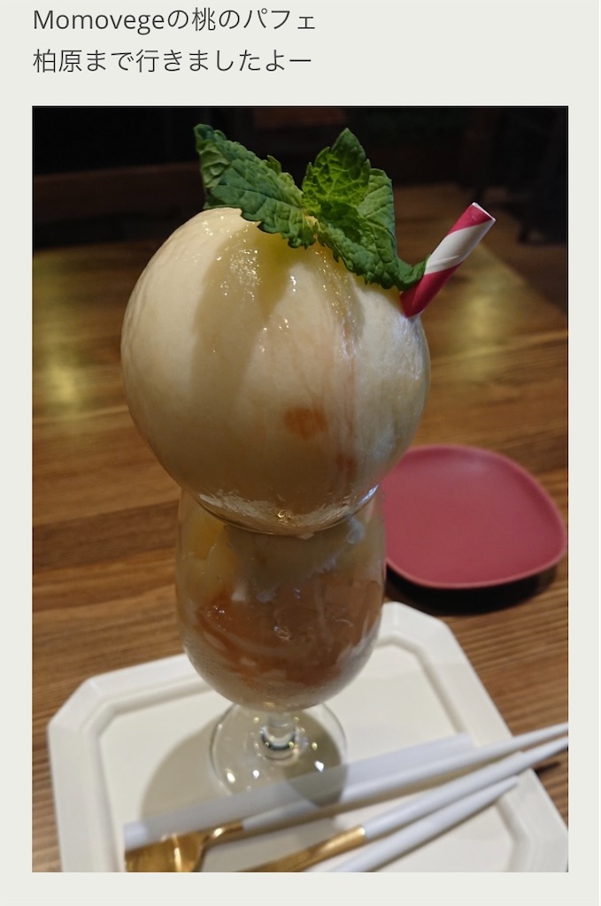 f:id:hukunekox:20210608141521j:image f:id:hukunekox:20210608141521j:image